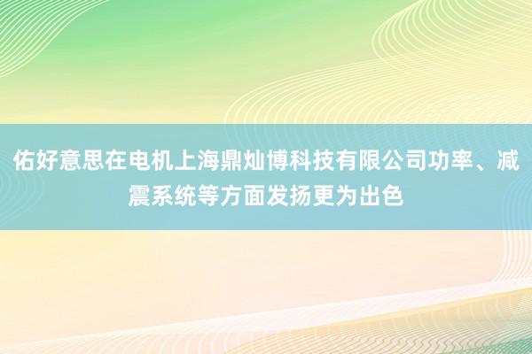 佑好意思在电机上海鼎灿博科技有限公司功率、减震系统等方面发扬更为出色