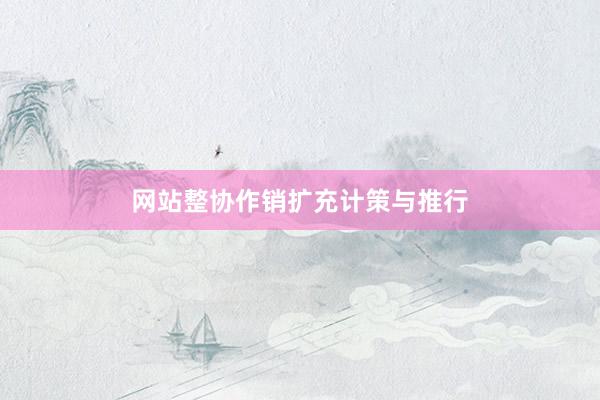 网站整协作销扩充计策与推行