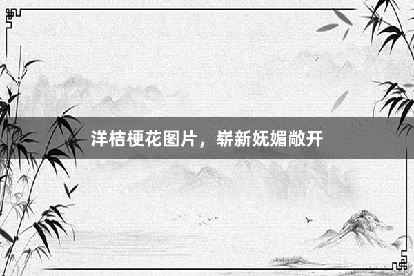 洋桔梗花图片，崭新妩媚敞开